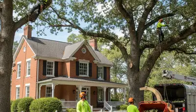Tree service crew in Harrisburg, PA providing professional tree removal and trimming services