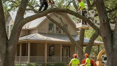Tree service crew in Harrisburg, PA providing professional tree removal and trimming services